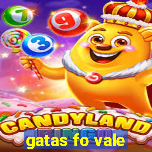 gatas fo vale