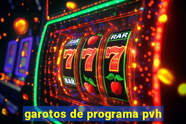garotos de programa pvh