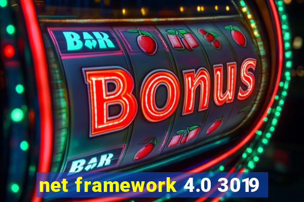 net framework 4.0 3019