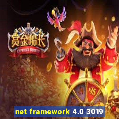 net framework 4.0 3019