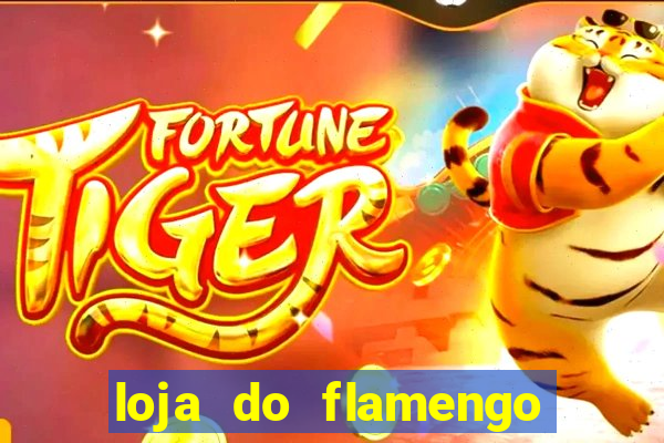 loja do flamengo taguatinga shopping