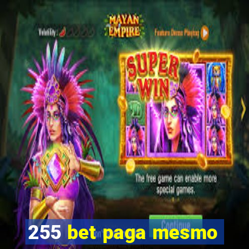 255 bet paga mesmo