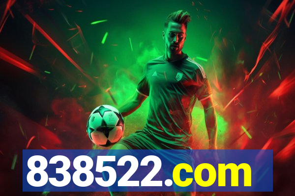 838522.com