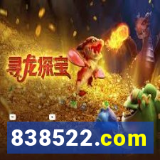 838522.com