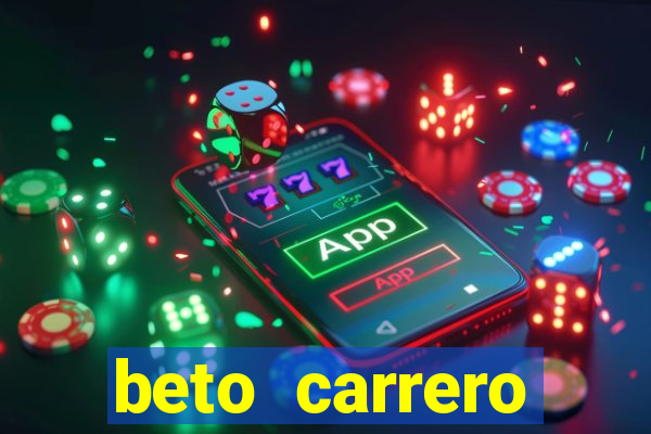 beto carrero cidades proximas
