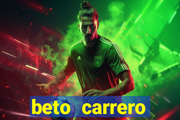 beto carrero cidades proximas