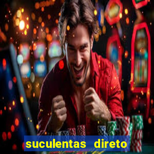 suculentas direto do produtor rs