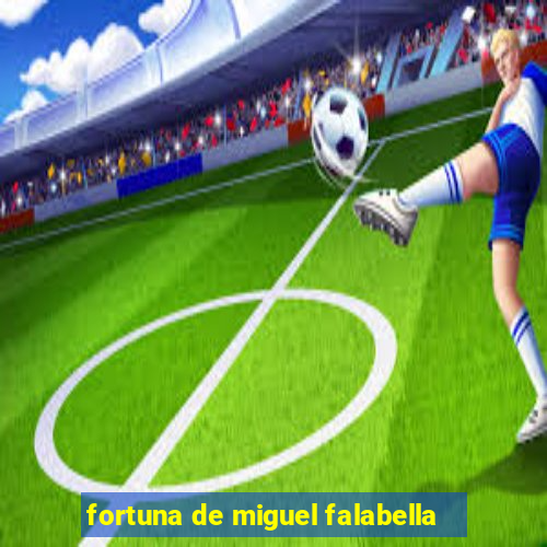 fortuna de miguel falabella