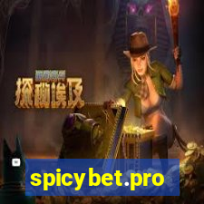 spicybet.pro