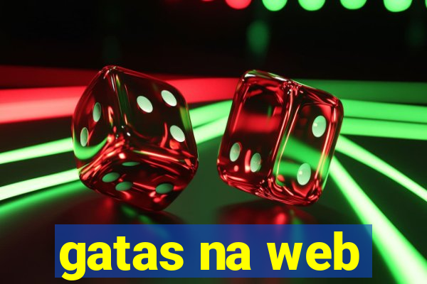gatas na web