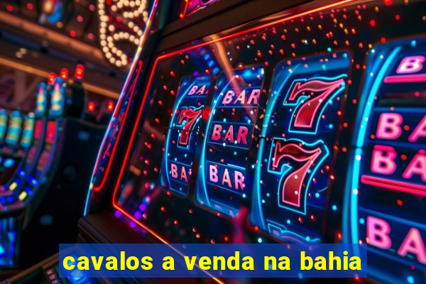 cavalos a venda na bahia