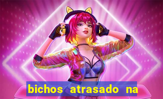 bichos atrasado na loteria dos sonhos