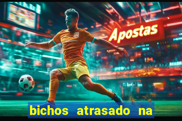 bichos atrasado na loteria dos sonhos