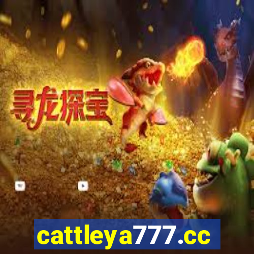 cattleya777.cc