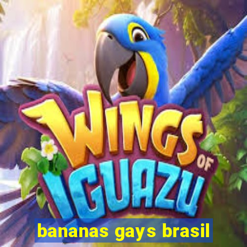 bananas gays brasil