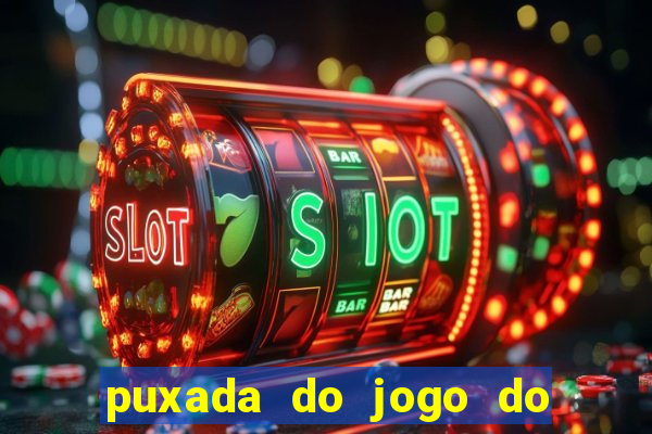 puxada do jogo do bicho da sueli