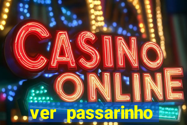 ver passarinho morto significado espiritual